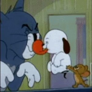 Meet your Posher, Rory